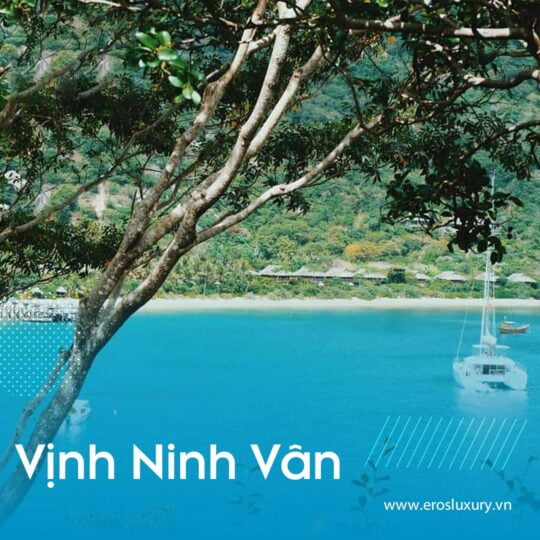 Ninh Van