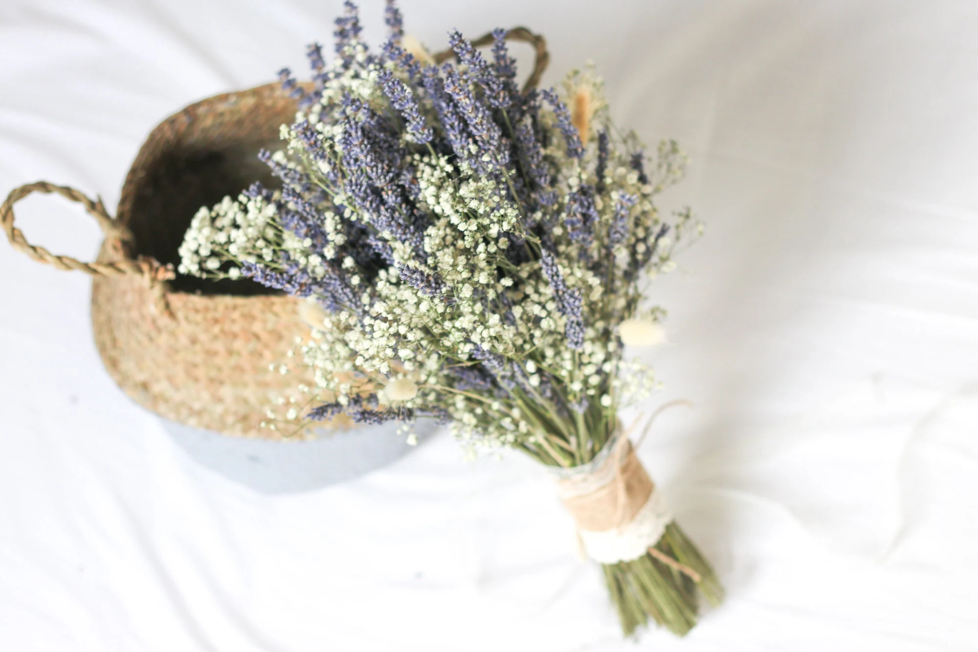 Hoa Cưới Lavender